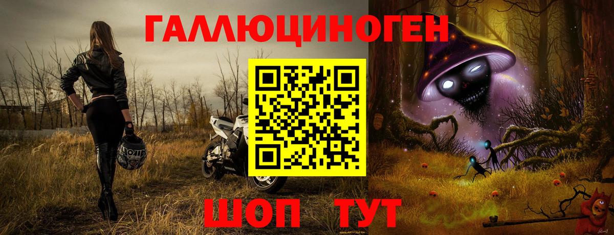 Галлюциногенные грибы ЛСД  Псилоцибиновые грибы ЛСД  Вход с VPN  Россошь 